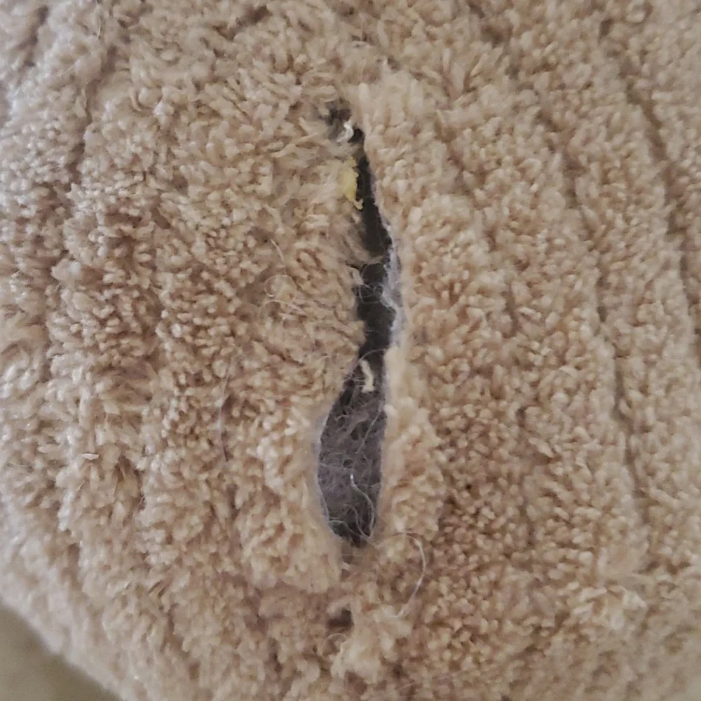 Lion Squeaky Toy